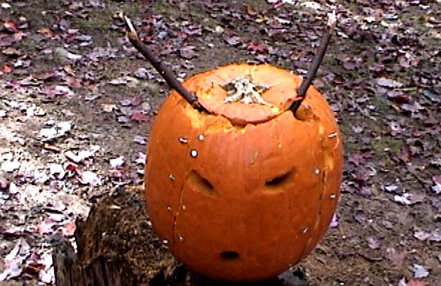 Pumpkin Geoffrey